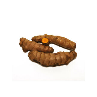 Curcuma