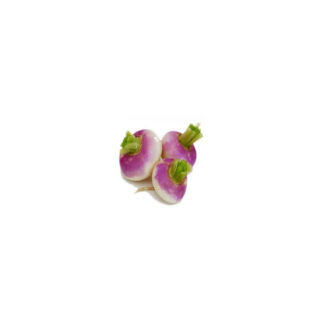 Navet violet