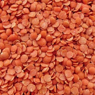 Lentille corail