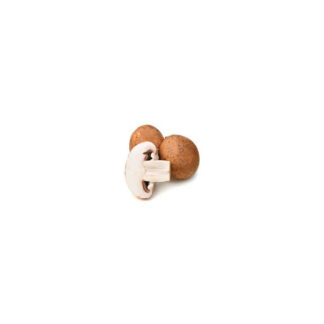 Champignon blond
