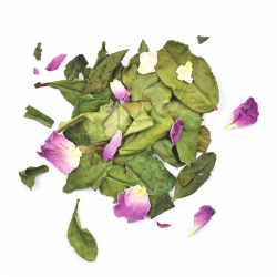Thé blanc REINE de DAMAS