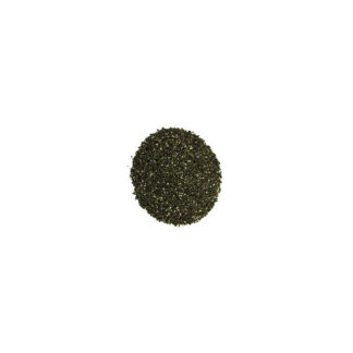 Graine de chia