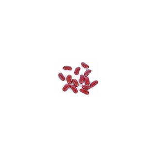 Haricot rouge