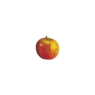 Pomme swing