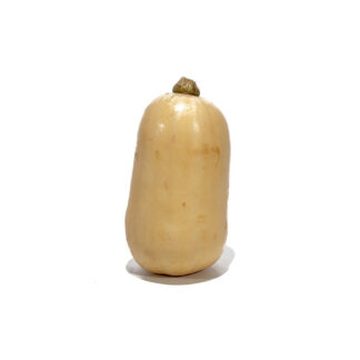 Courge butternut