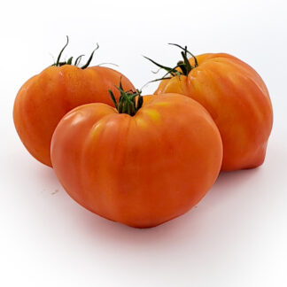 Tomate Coeur de Boeuf