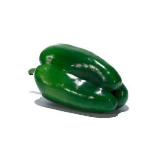 Poivron vert