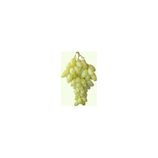 Raisin blanc