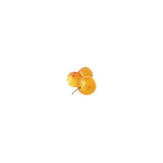 Mirabelle