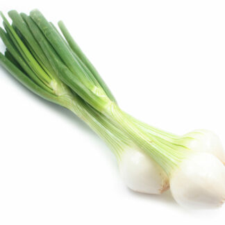 Oignon botte